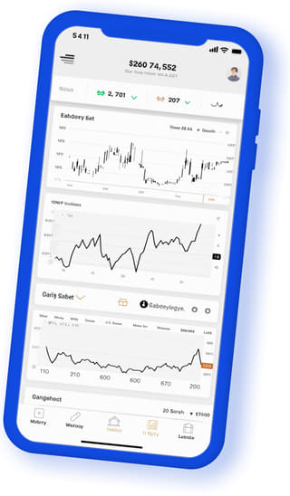 Licht Kapitent digitale webapplicatie op mobiel apparaat